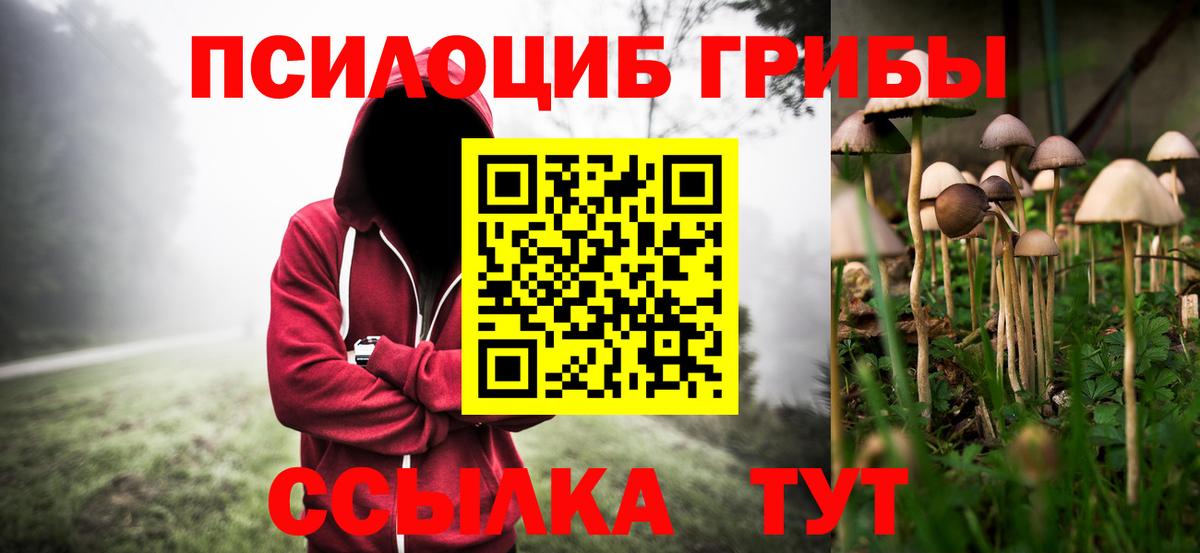 Галлюциногенные грибы Cubensis  Вход с VPN  цены   Ярцево 